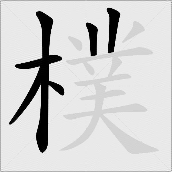 樸