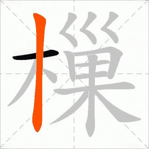 樔