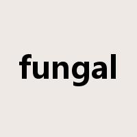 fungal是什么意思