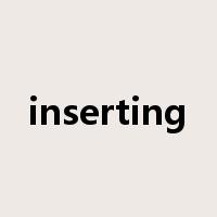 inserting是什么意思