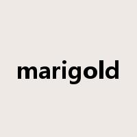 marigold是什么意思