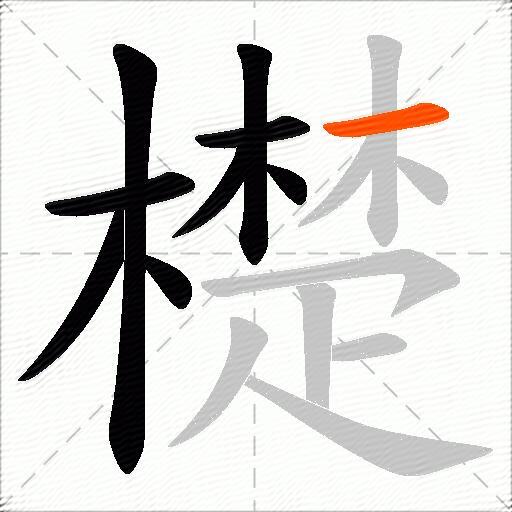 檚