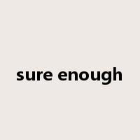 sure enough是什么意思