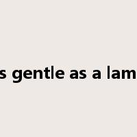 as gentle as a lamb是什么意思