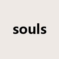 souls是什么意思
