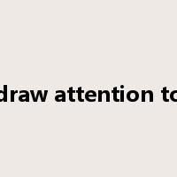 draw attention to是什么意思