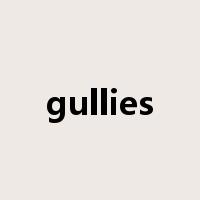 gullies是什么意思