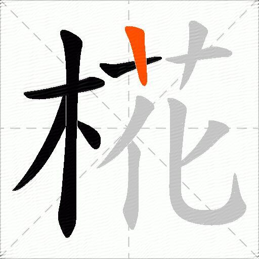 椛