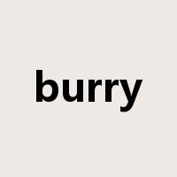 burry是什么意思