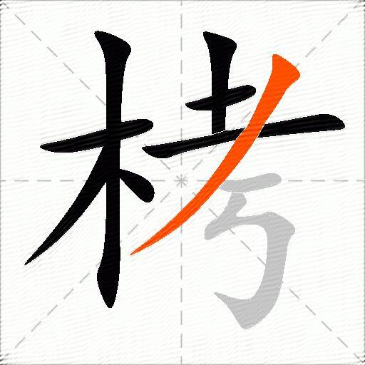 栲