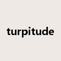 turpitude是什么意思