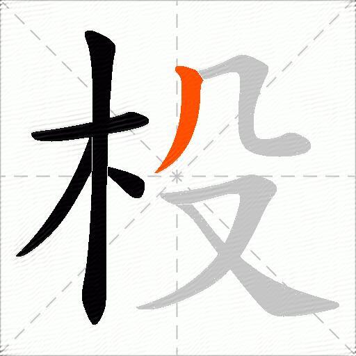 杸