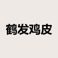 鹤发鸡皮是什么意思