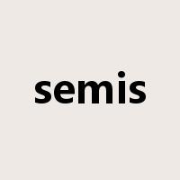 semis是什么意思