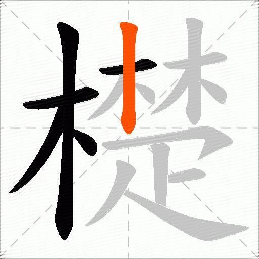 檚