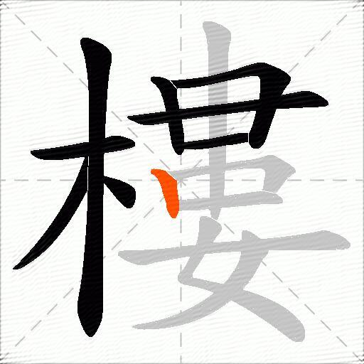 樓
