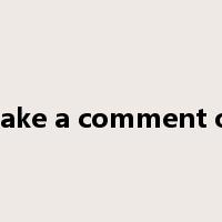 make a comment on是什么意思