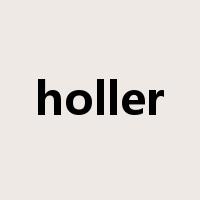 holler是什么意思