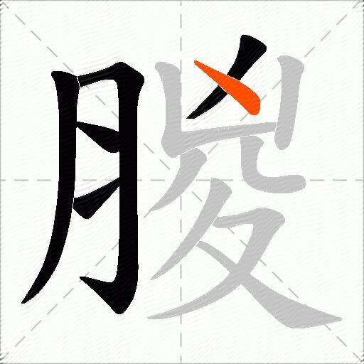 朡