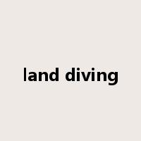 land diving是什么意思