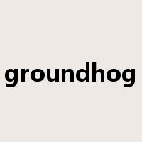 groundhog是什么意思