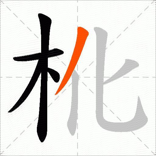 杹