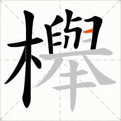 櫸