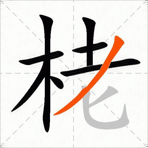 栳
