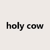 holy cow是什么意思