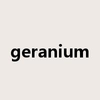geranium是什么意思
