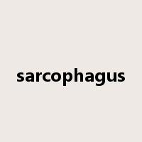 sarcophagus是什么意思