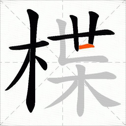 楪