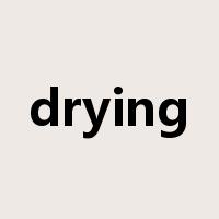 drying是什么意思