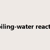 boiling-water reactor是什么意思