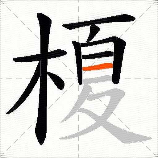 榎