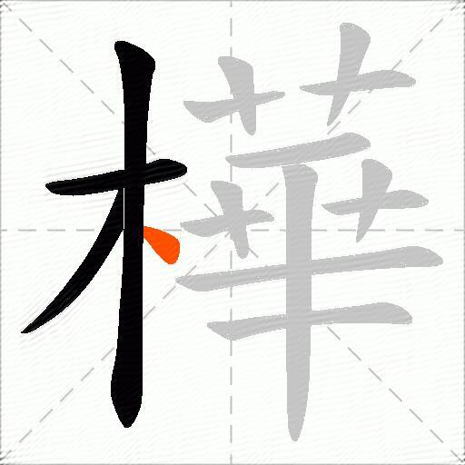 樺
