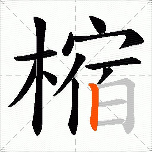 樎