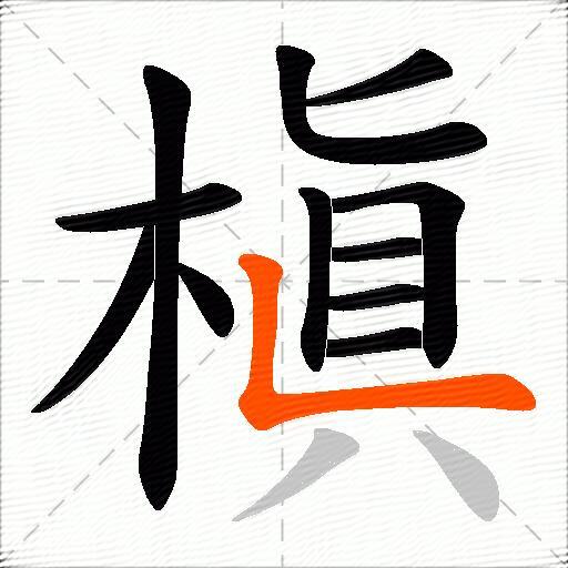 槇