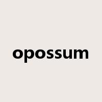 opossum是什么意思