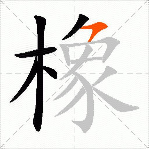 橡