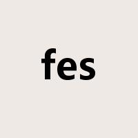 fes是什么意思