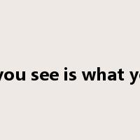 what you see is what you get是什么意思