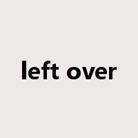 left over是什么意思