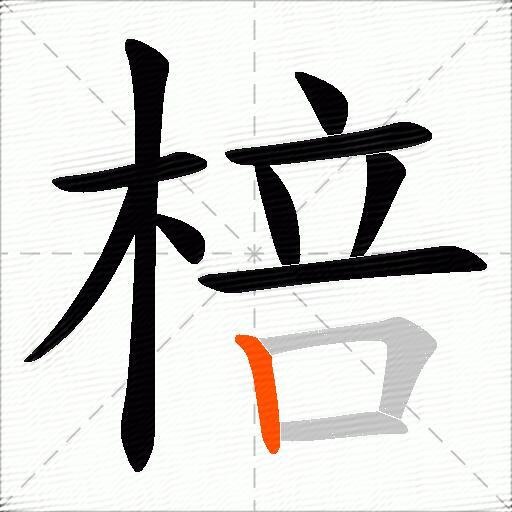 棓