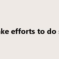 make efforts to do sth是什么意思