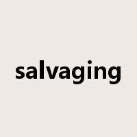 salvaging是什么意思