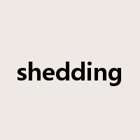 shedding是什么意思