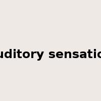 auditory sensation是什么意思