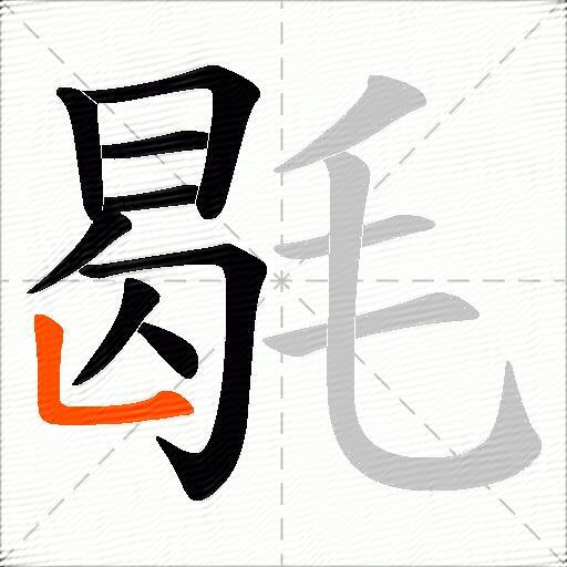 毼