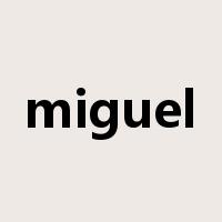 miguel是什么意思